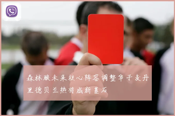 森林狼未来核心阵容调整华子麦丹里德贝兰热将成新基石